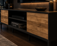 A modern media console with dark wood grain doors and a black metal frame, styled in a contemporary living room setting.